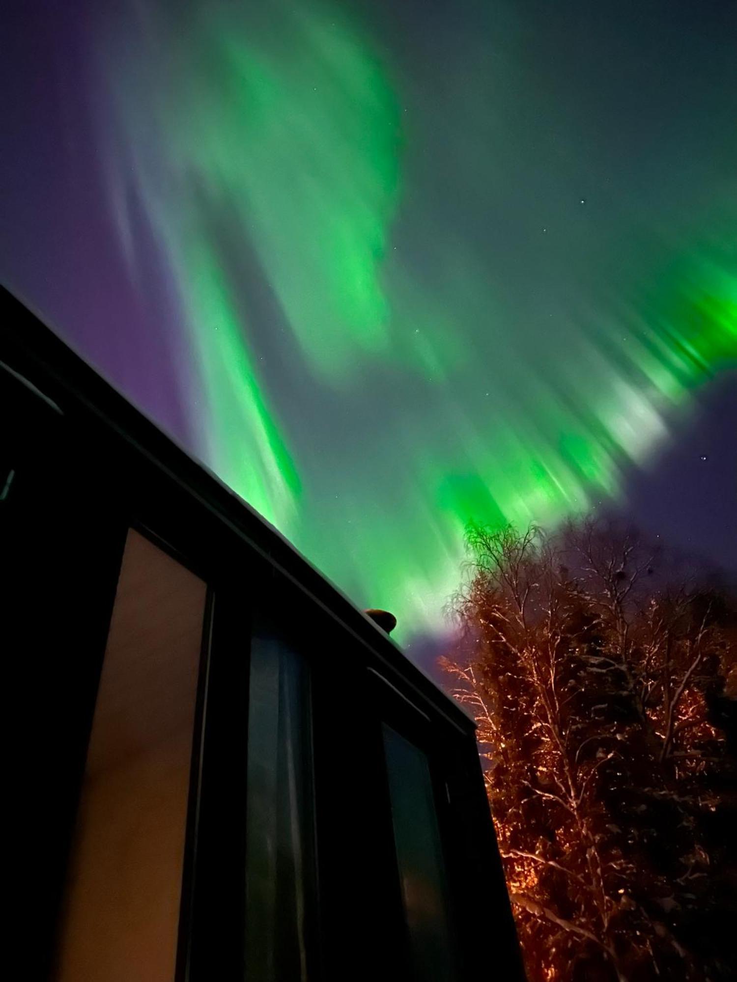Aurora Forest Lodge Rovaniemi Exteriör bild